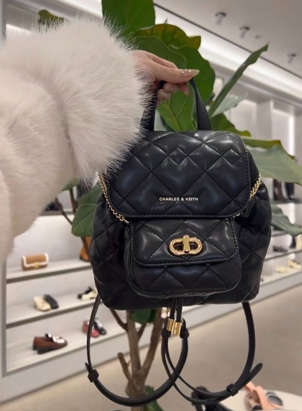 image_3B5B382E-3FF3-44DE-AC73-BB444698A6C0_1770361802