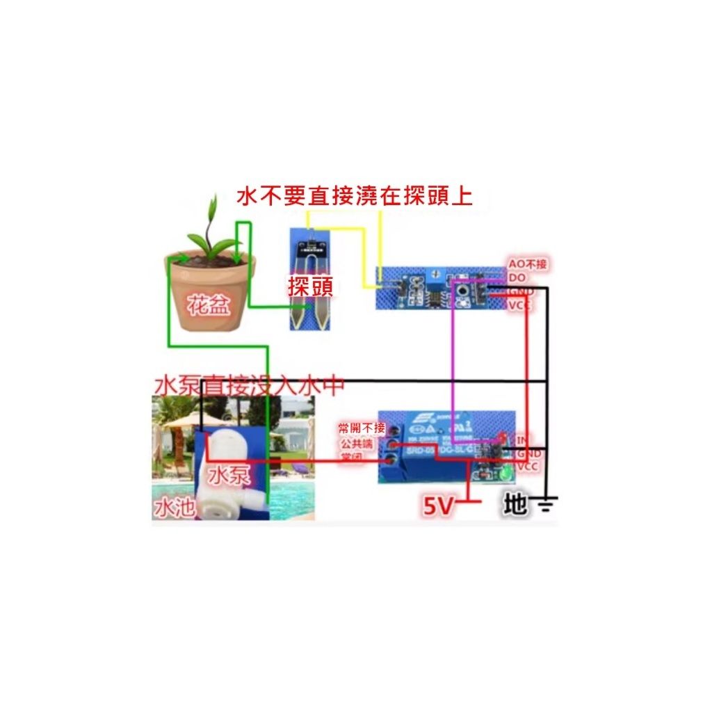 tw-11134207-7r98z-lmmmz9f5jl3t92