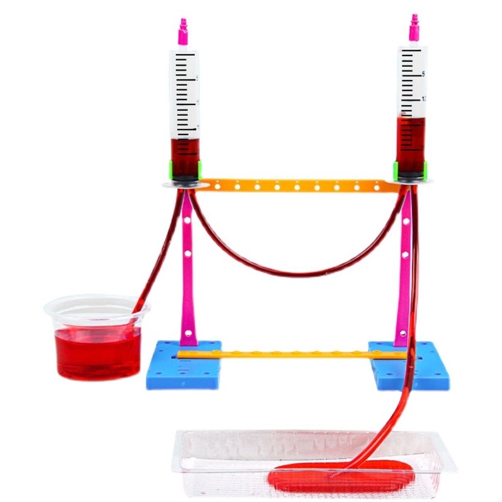 ebc4637a539a43fb70905a738f75c11e