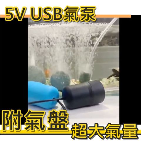 20d27e74f0780923fc1dfb5bd99cf45a