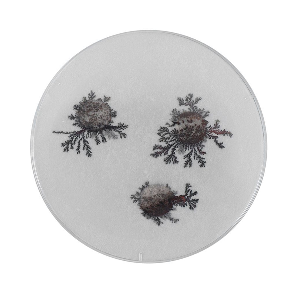 4e254ecf888f56ce63e57f0c207cf5c2