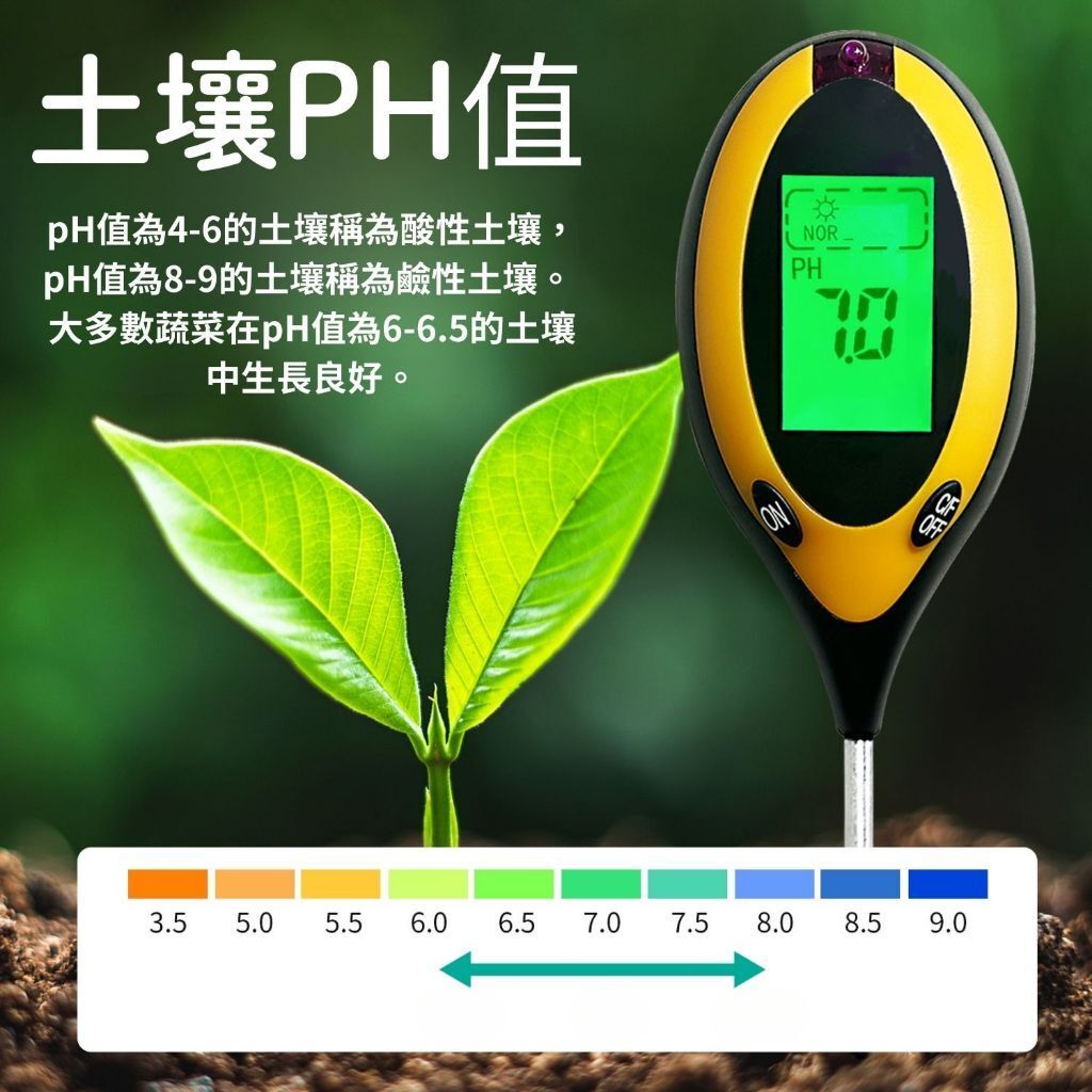 tw-11134207-7rash-m4a71lkef9ev56
