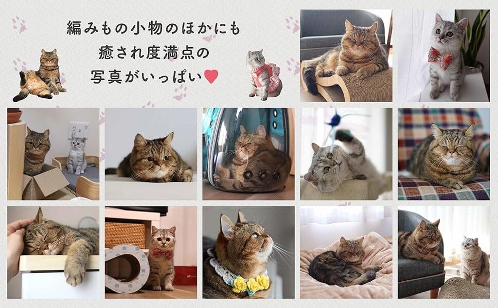 1207e646-7e45-4f08-bdbe-52ee41c38038.__CR0,0,1940,1200_PT0_SX970_V1___