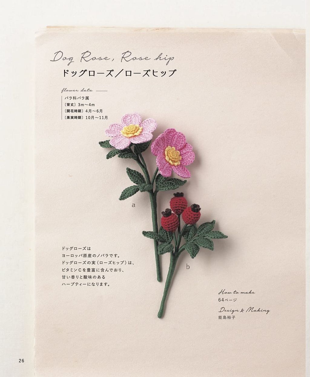 61RYyGJSURS._SL1491_