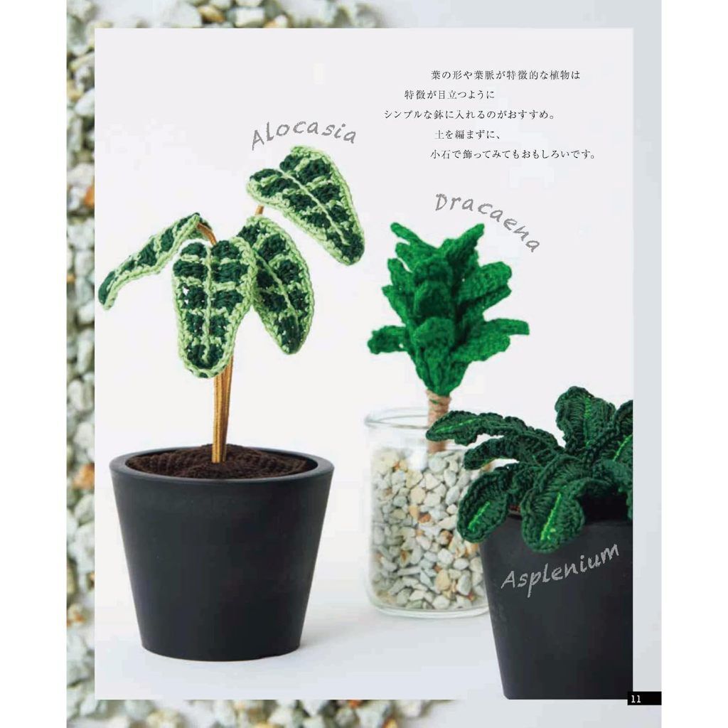 tw-11134207-7rbkd-m7tocyopyusl05