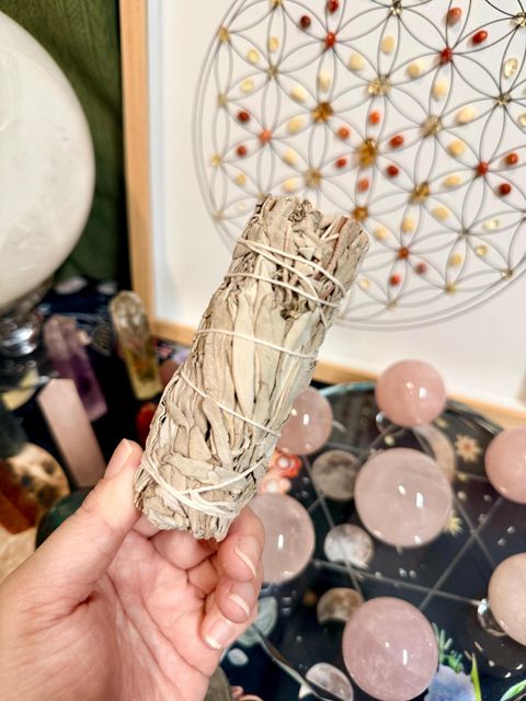 WhatsApp Image 2026-01-15 at 7.08.23 PM (1)