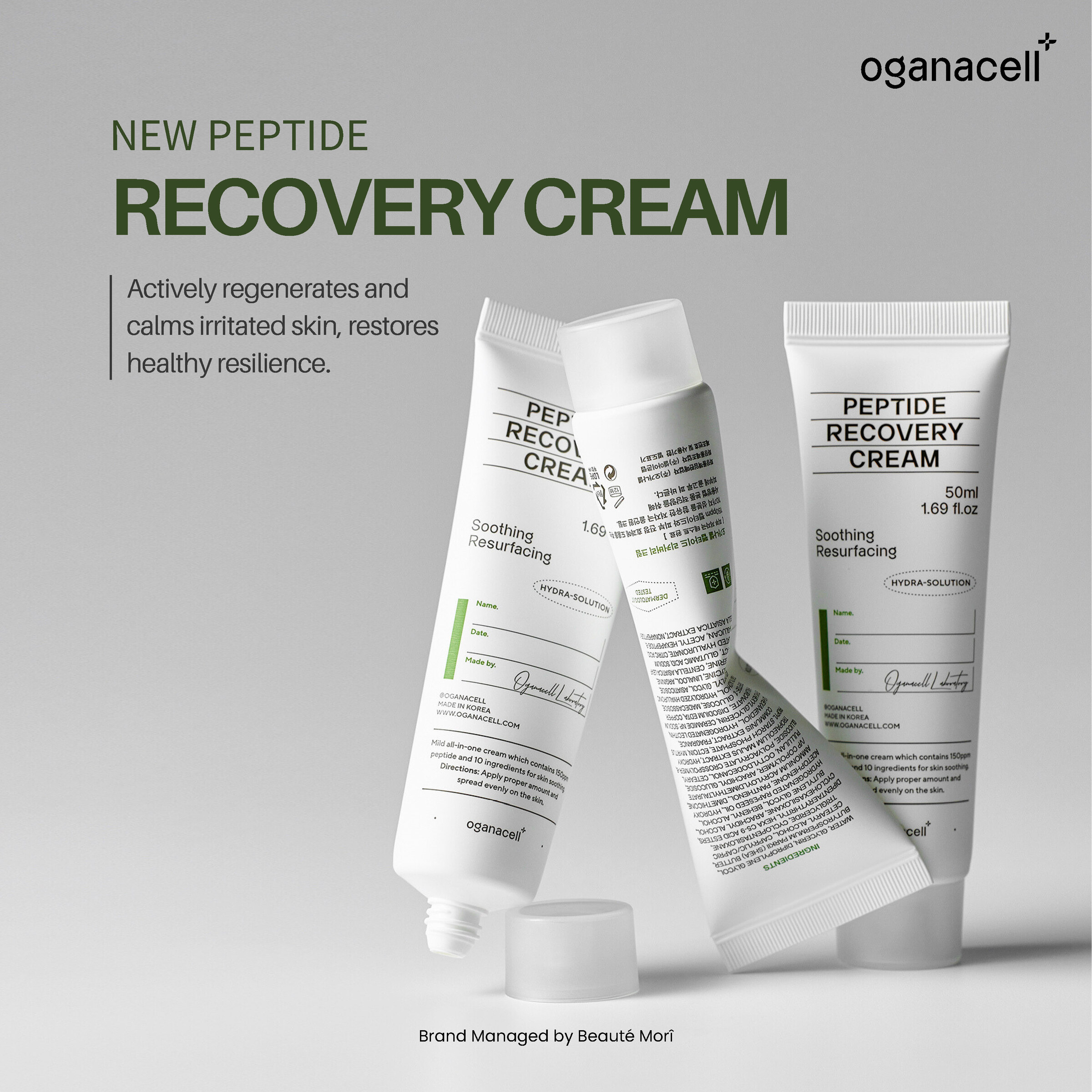 Oganacell Product Description_ENG_Page_12