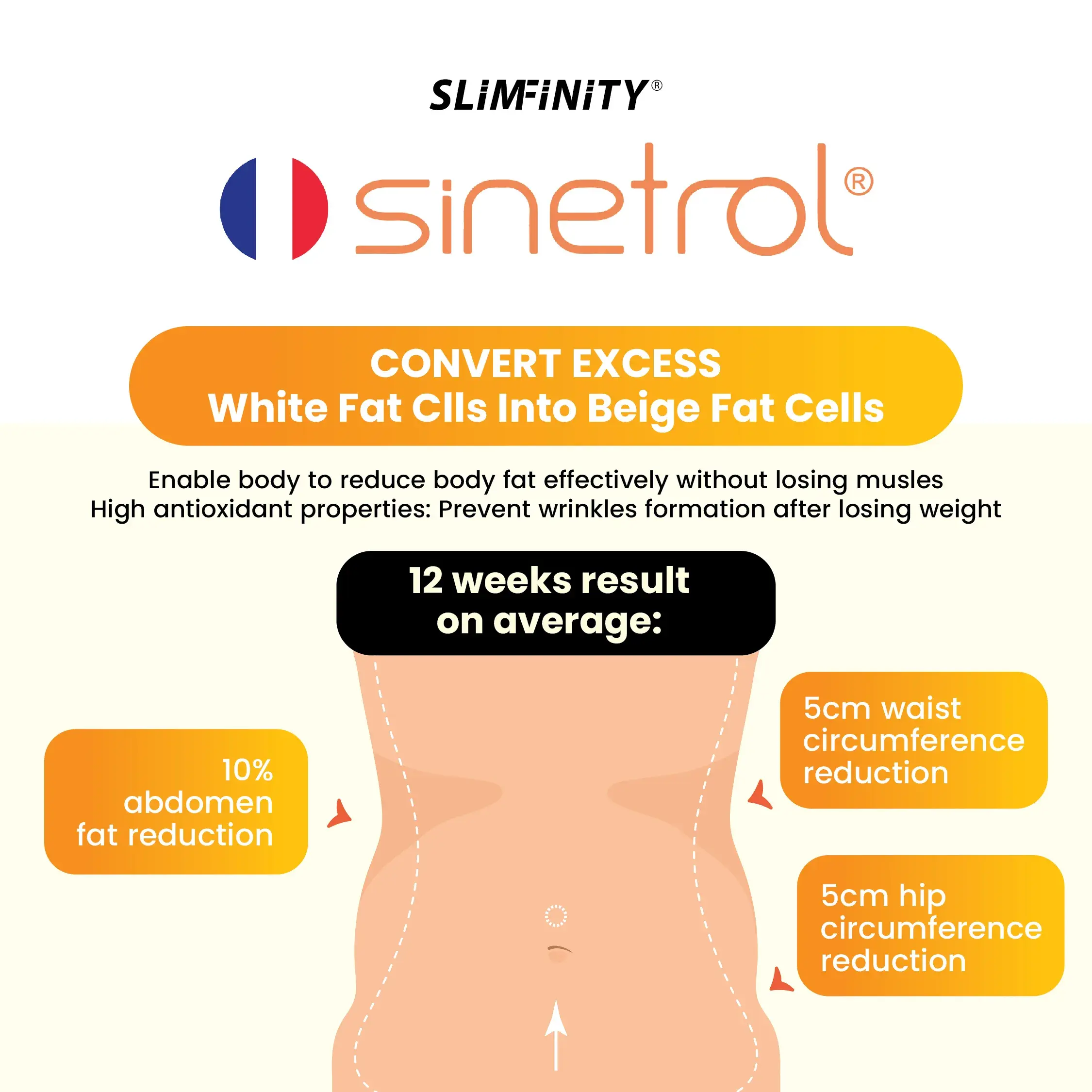 Enerboost Yuzu宣传图(EN)-10