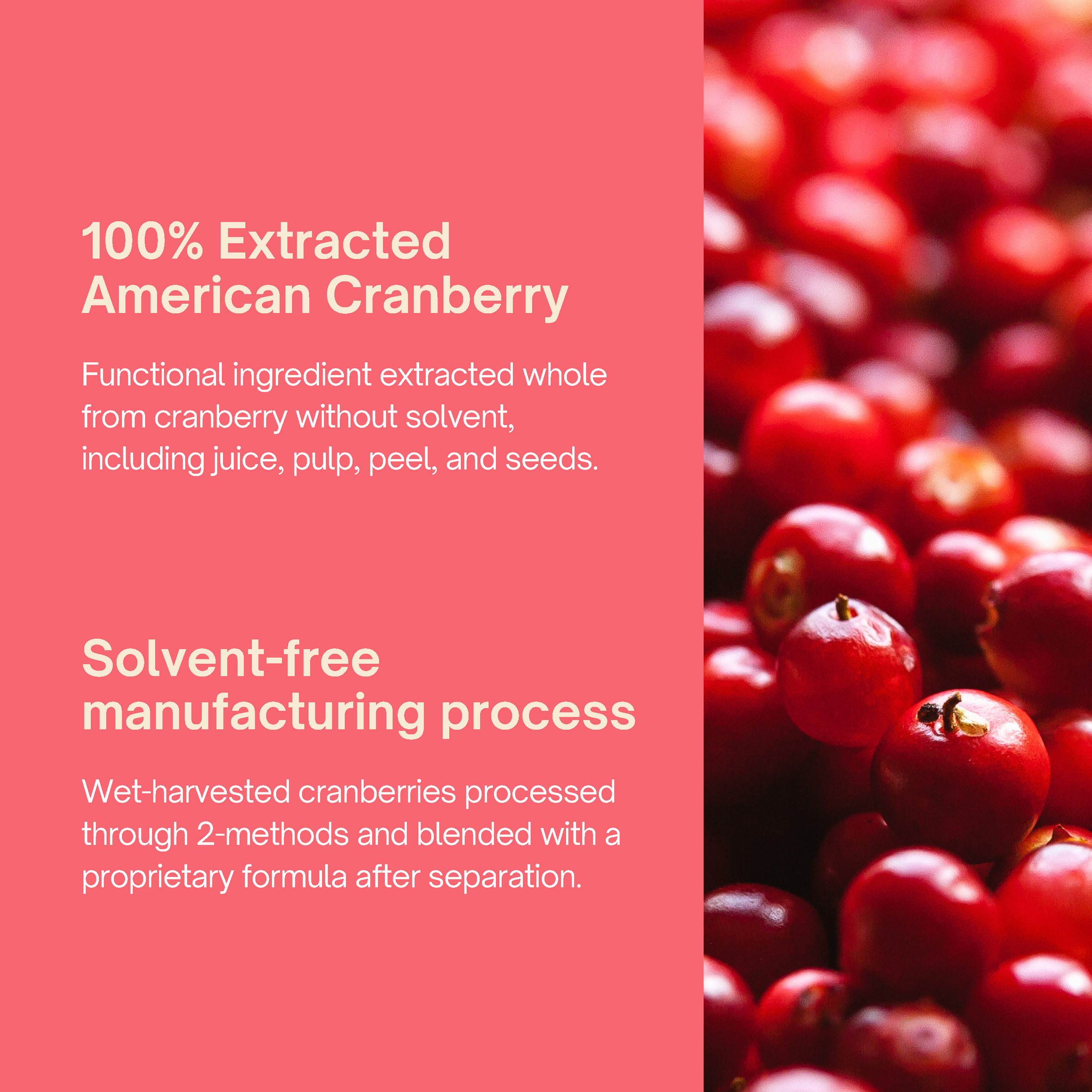 ENG 茵芙拉Inner Flora CRANBERRY_Page_06