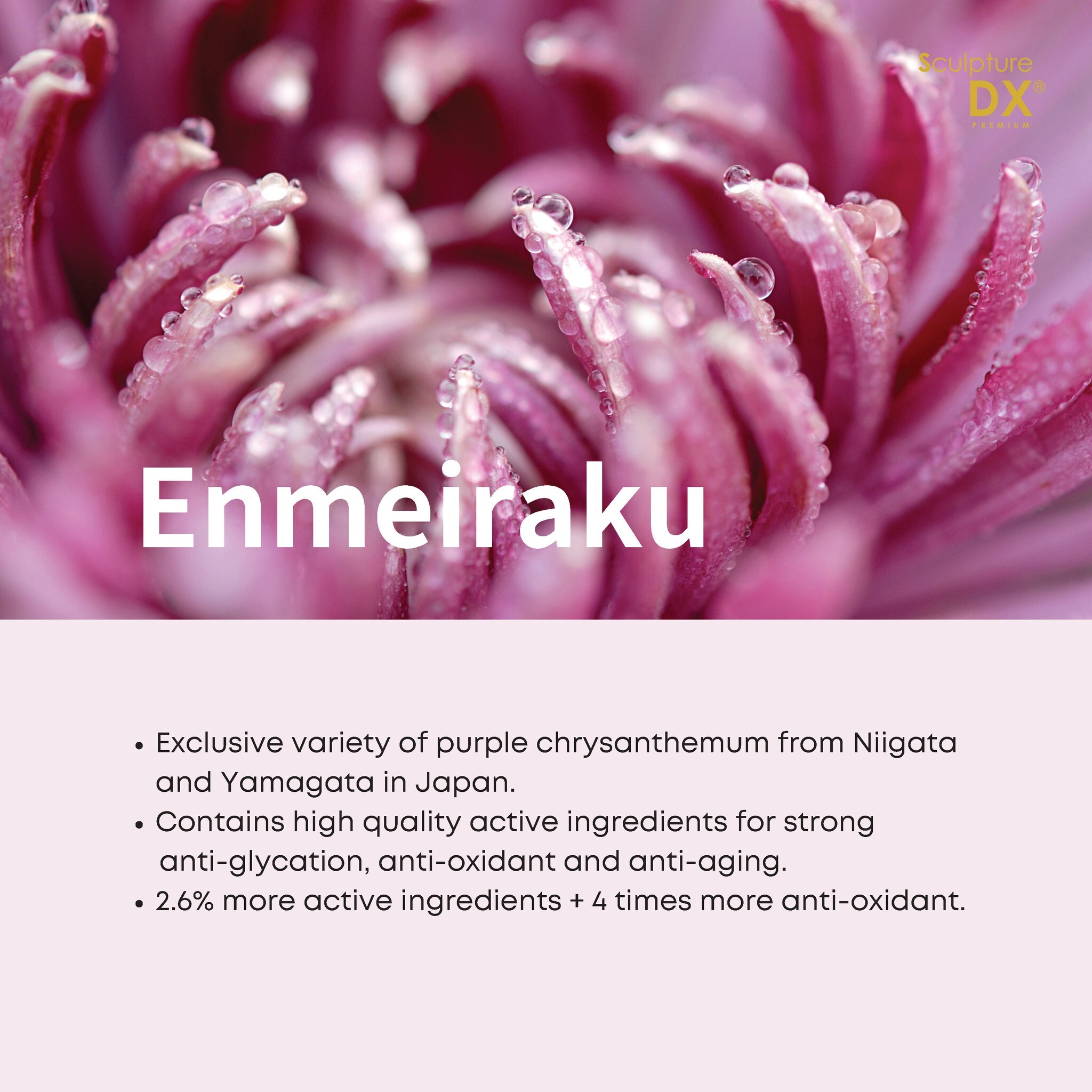 Sculpture DXP_ENG 05