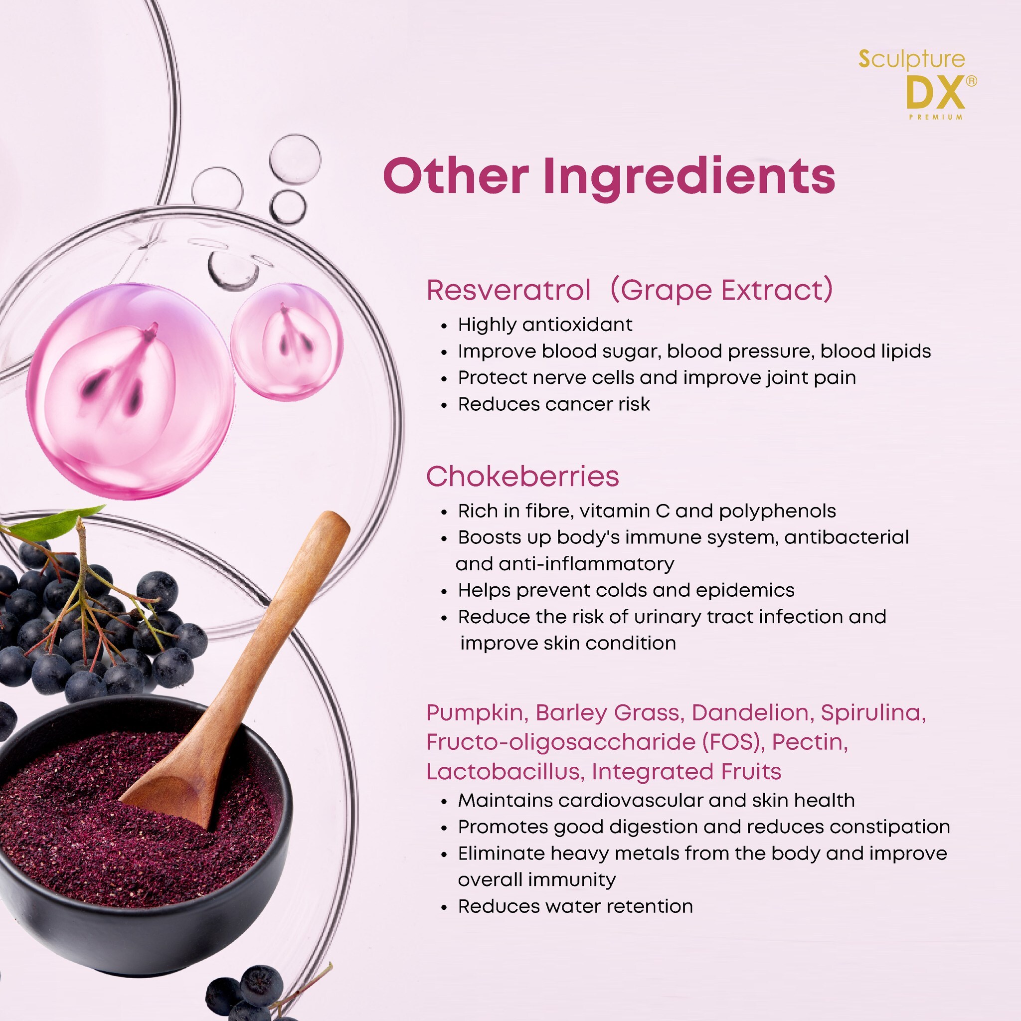 Sculpture DXP_ENG 08