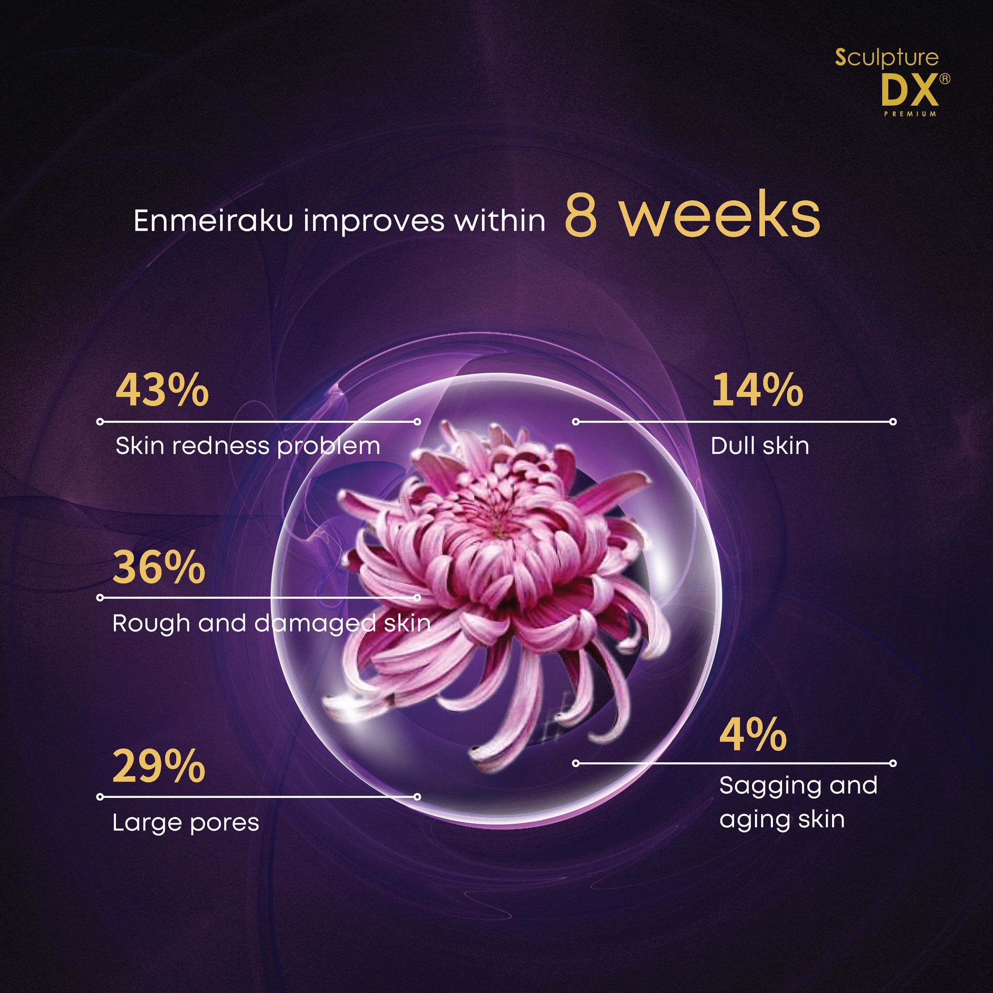 Sculpture DXP_ENG 06