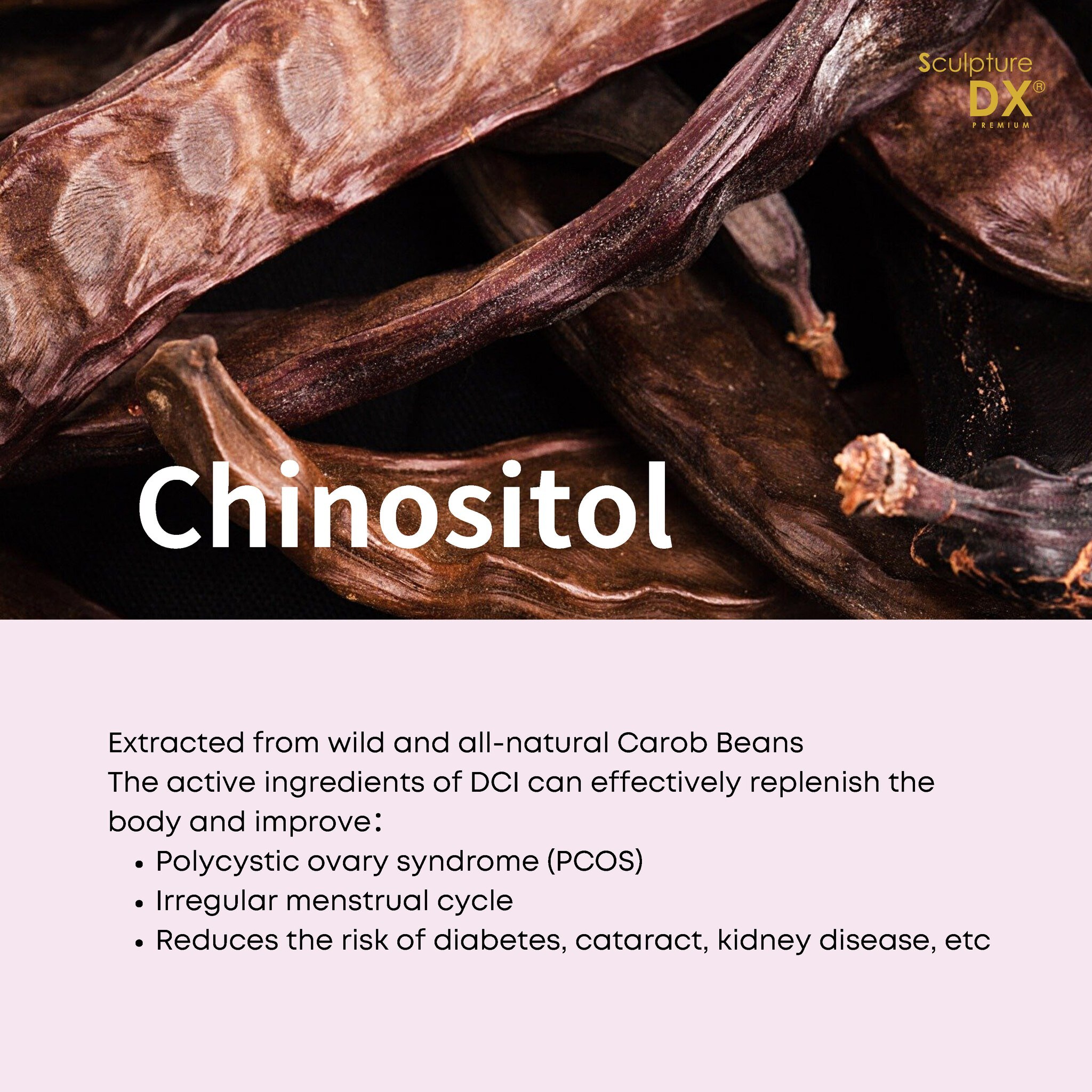 Sculpture DXP_ENG 07