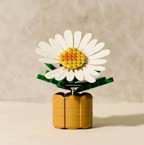 image_F2266688-6AC8-4EEB-BCEE-4B77BFD4167C_1772165518