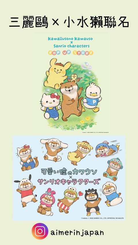 image_C6DB3A6B-AE4C-45CE-BCE9-4A64532D2D38_1772165958