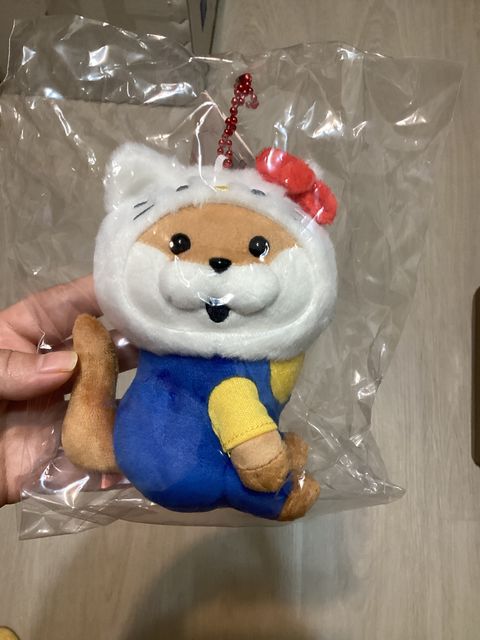 image_picker_0AC5CC54-181B-481E-ABDB-3B0DAC3ECFFE-464-0000000F5C24F4F1