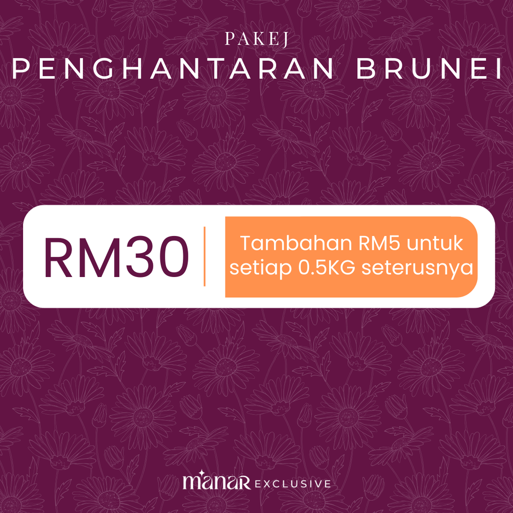 PAKEJ-PENGHANTARAN-BN