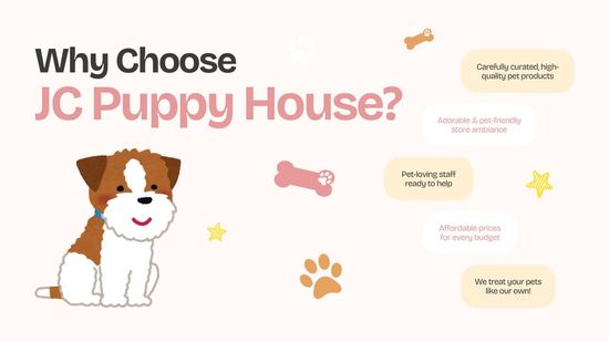 YOUR PUPPY PARADISE | JC Puppy House