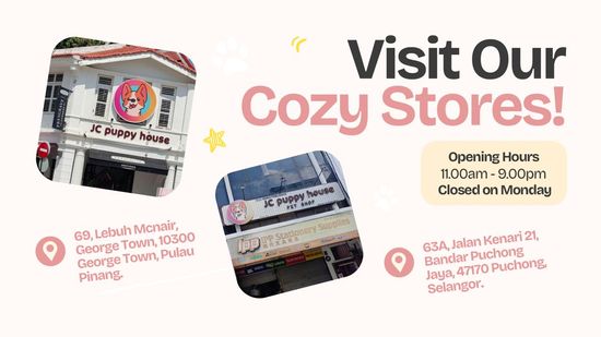 LOOKING FOR A FUR BABY? | JC Puppy House