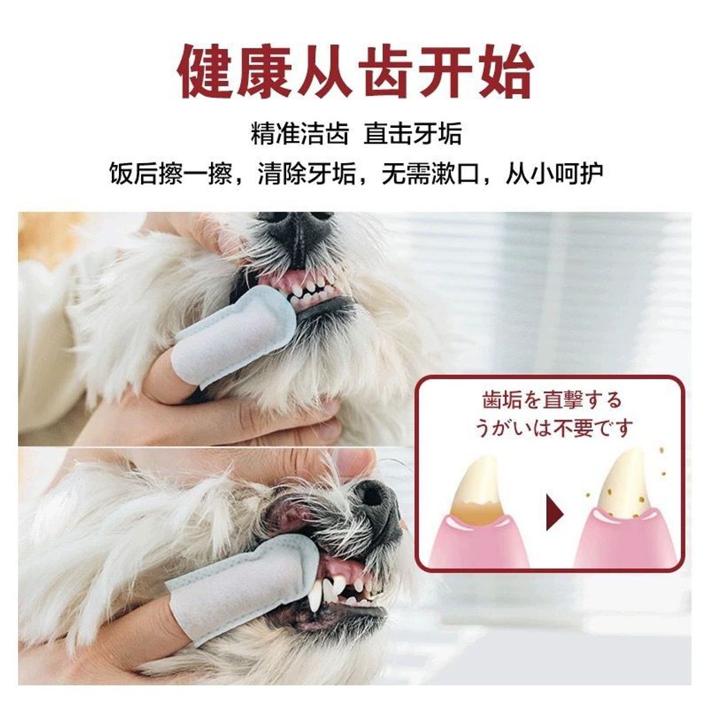 WhatsApp Image 2026-01-17 at 5.57.34 PM