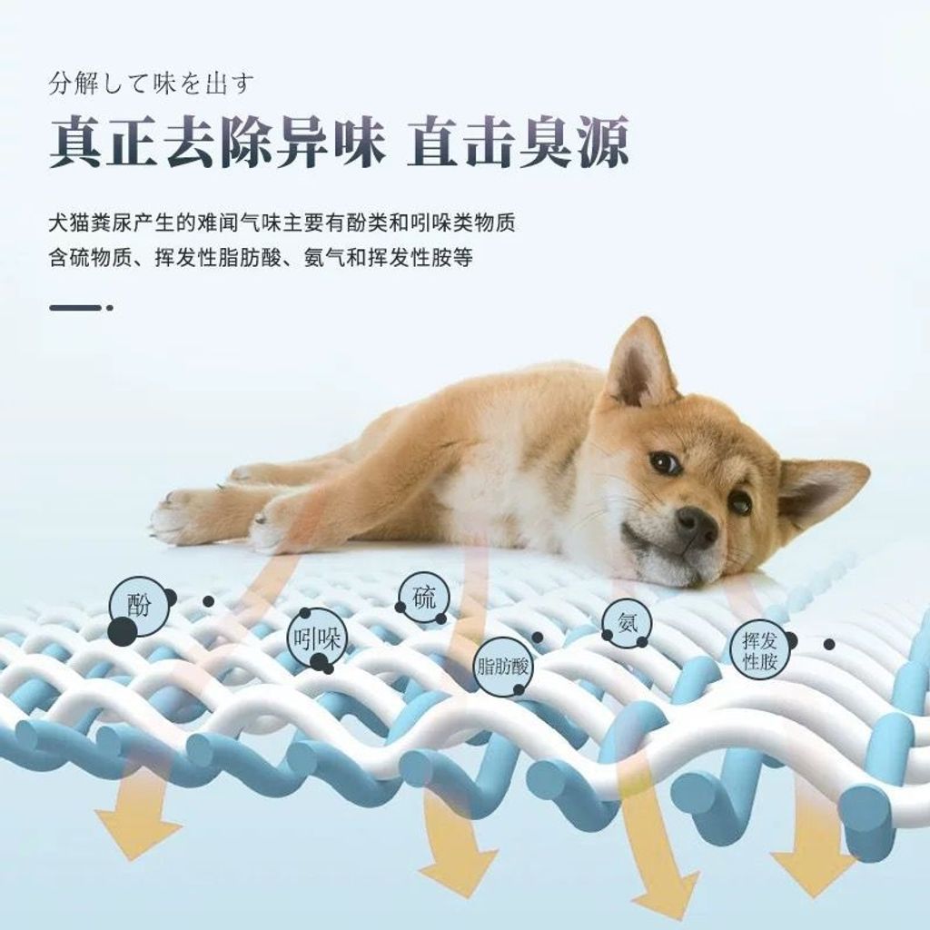 WhatsApp Image 2026-01-18 at 2.32.46 PM (3)