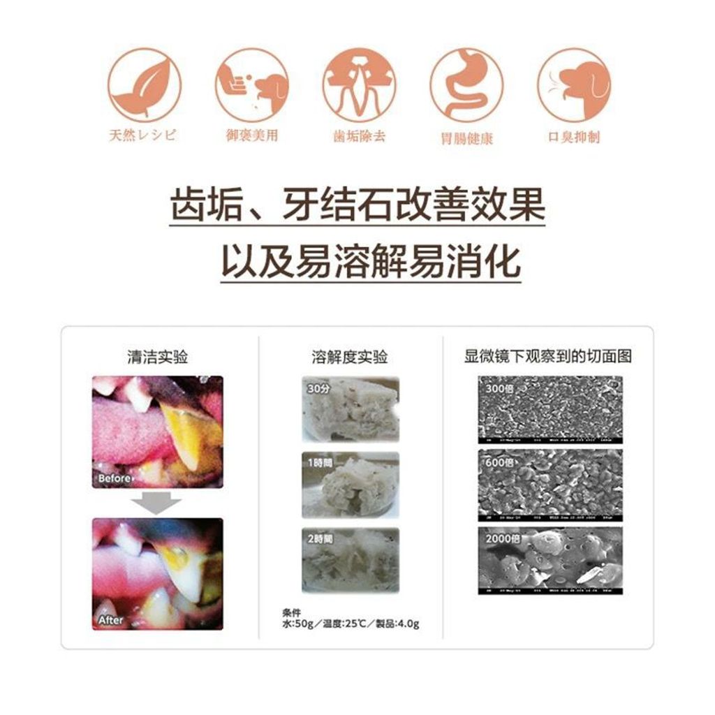 WhatsApp Image 2026-01-18 at 2.59.38 PM