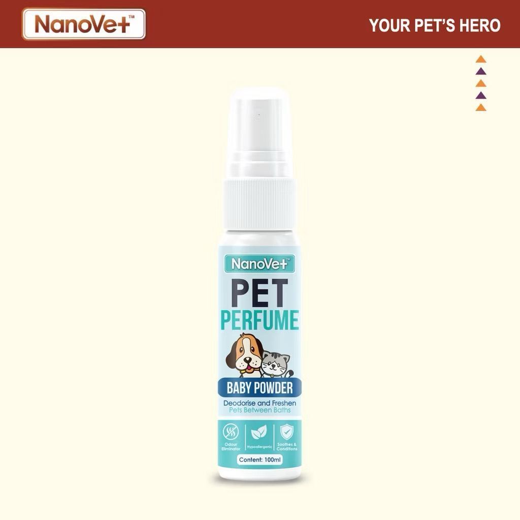 WhatsApp Image 2026-01-18 at 3.26.09 PM (3)