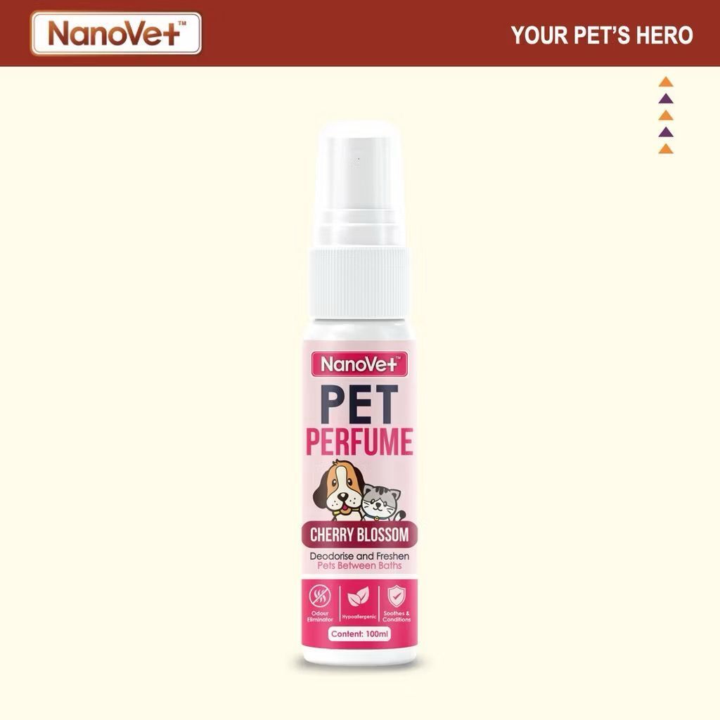 WhatsApp Image 2026-01-18 at 3.26.09 PM (4)