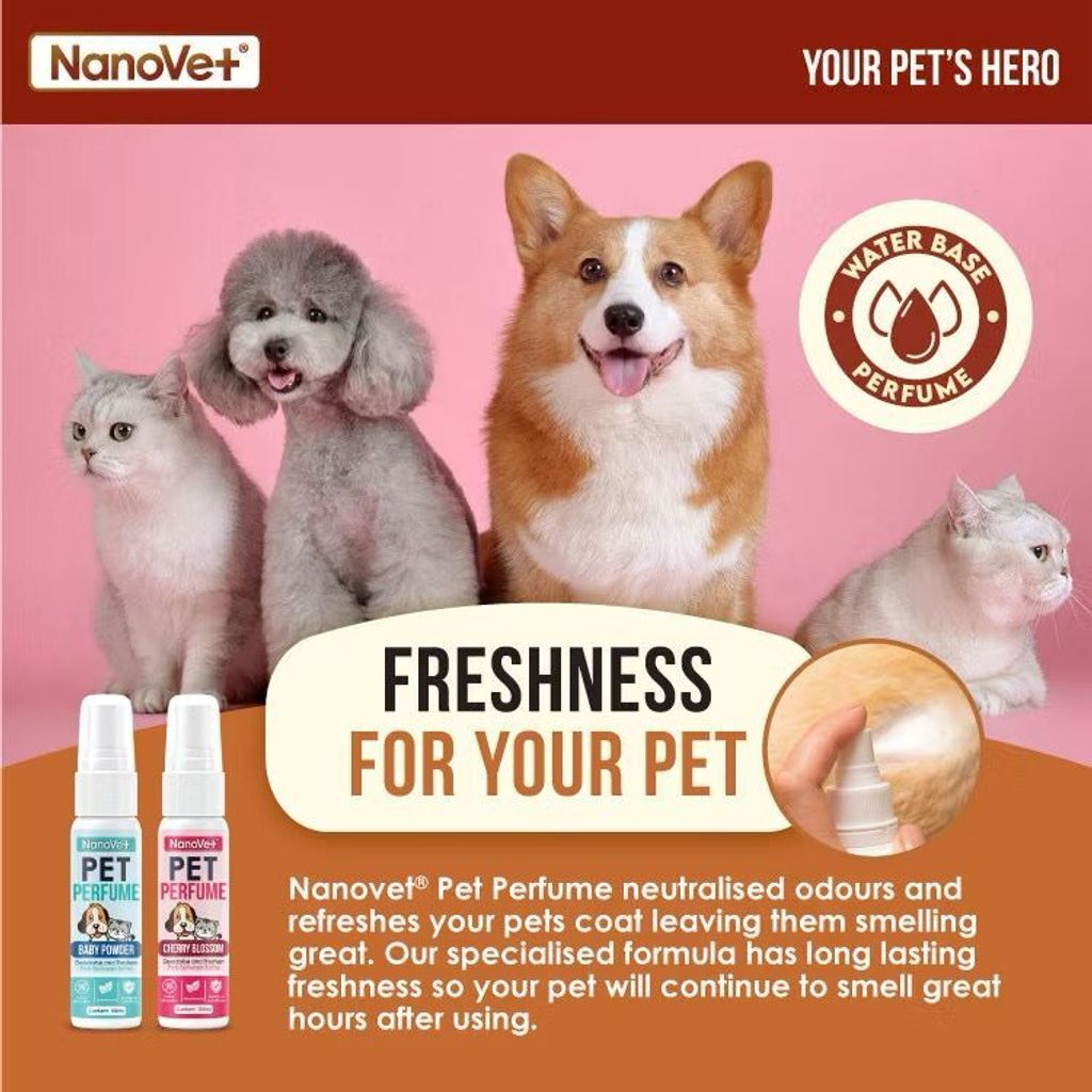 WhatsApp Image 2026-01-18 at 3.26.08 PM