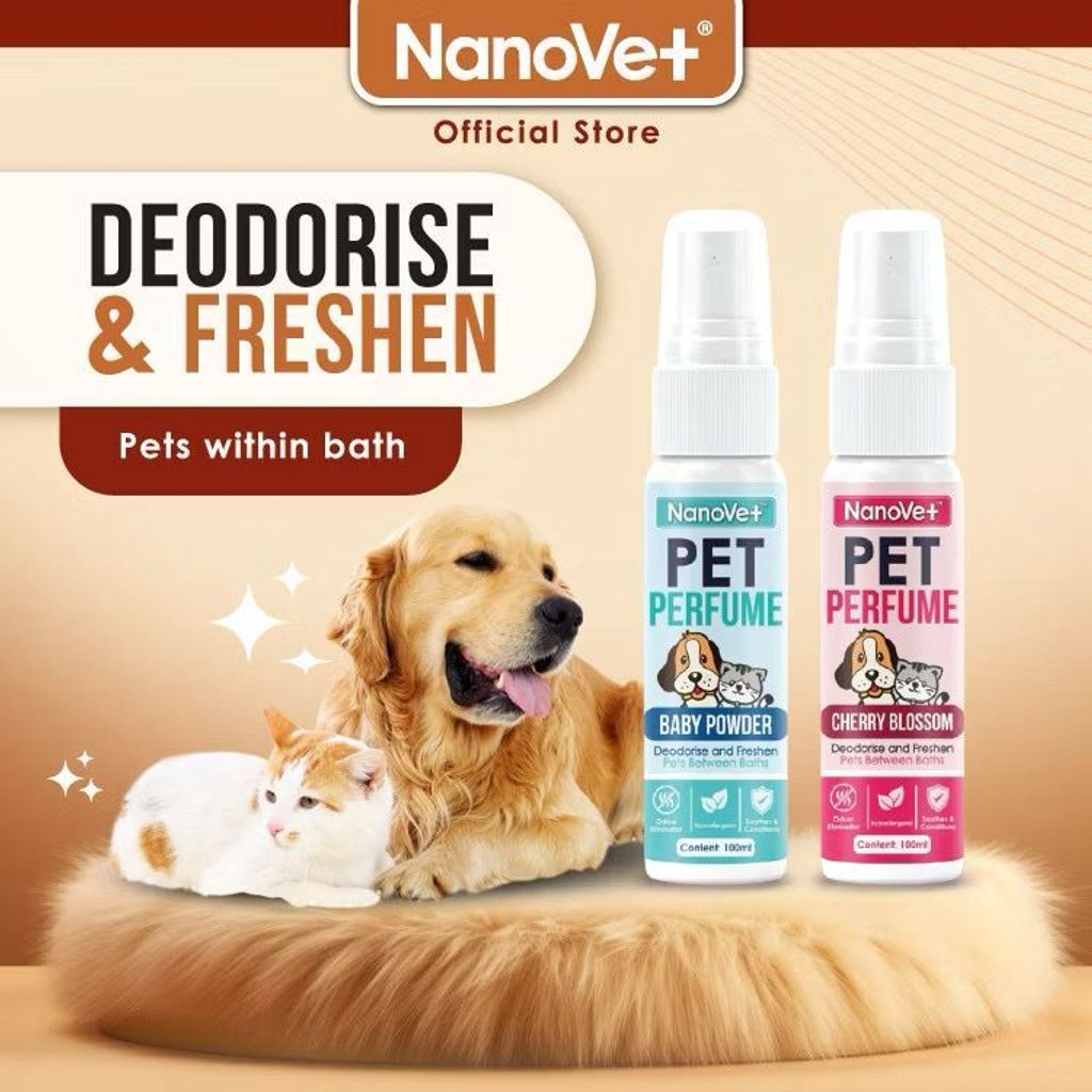 WhatsApp Image 2026-01-18 at 3.26.07 PM