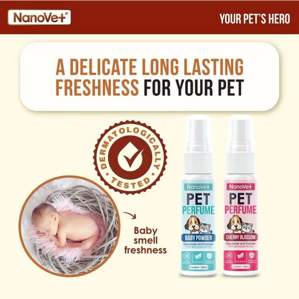 WhatsApp Image 2026-01-18 at 3.26.09 PM (1)