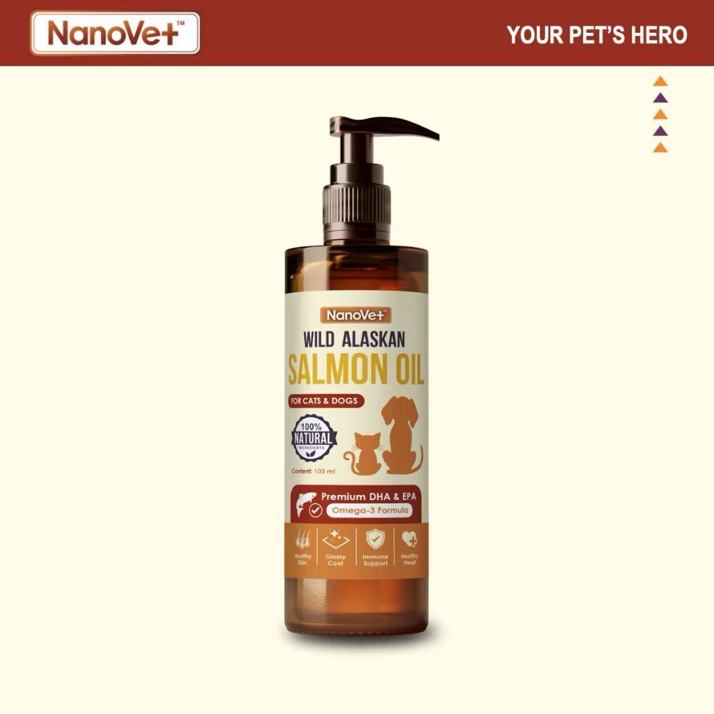 WhatsApp Image 2026-01-18 at 3.33.41 PM