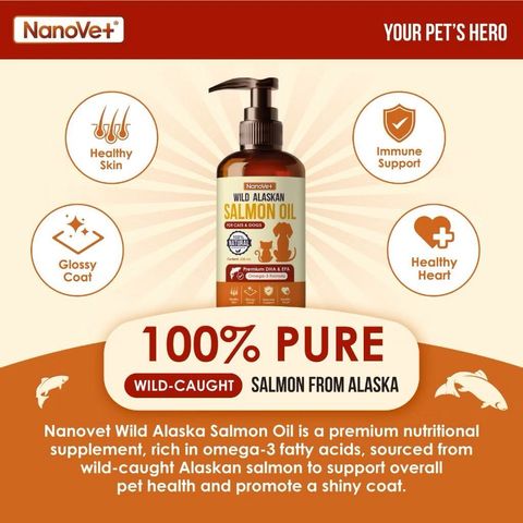 WhatsApp Image 2026-01-18 at 3.33.40 PM (1)