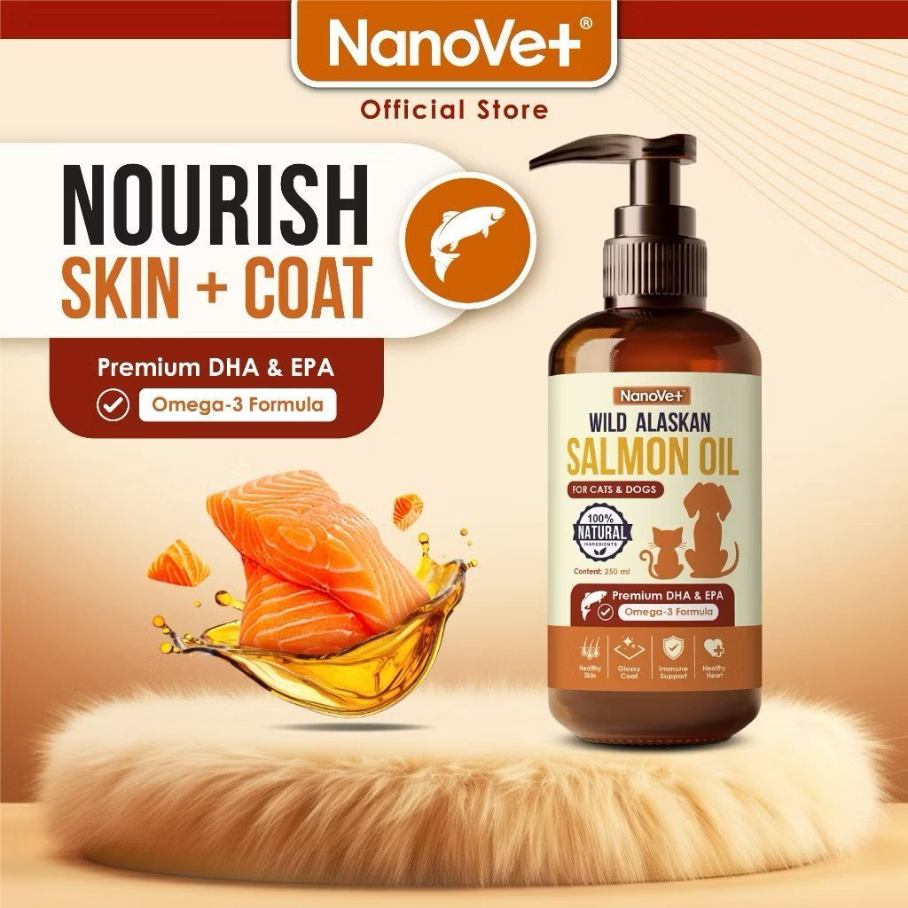 WhatsApp Image 2026-01-18 at 3.33.40 PM