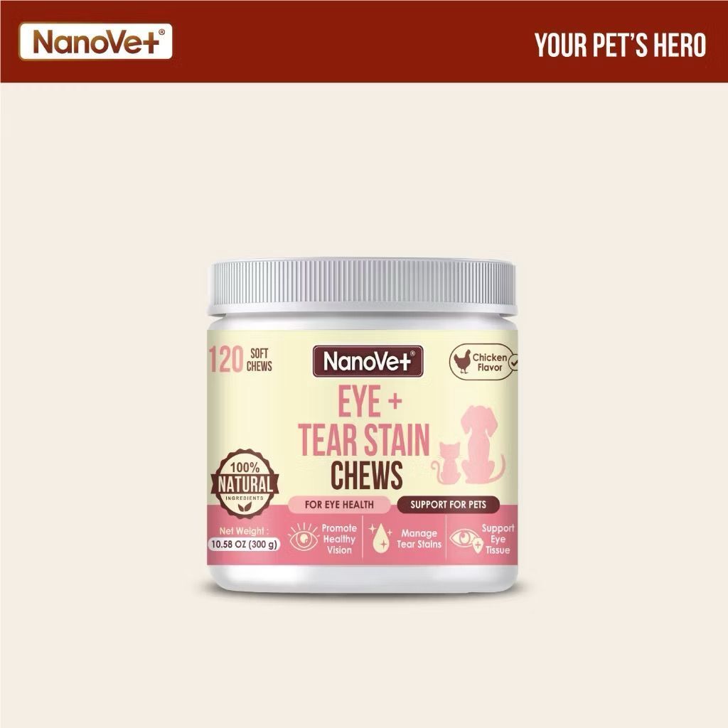 WhatsApp Image 2026-01-18 at 4.23.25 PM