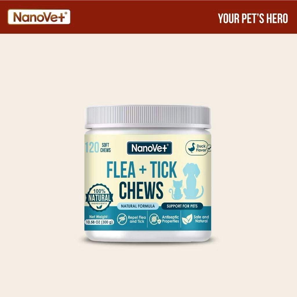 WhatsApp Image 2026-01-18 at 4.23.25 PM (1)