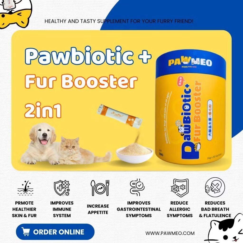 WhatsApp Image 2026-01-20 at 3.48.33 PM