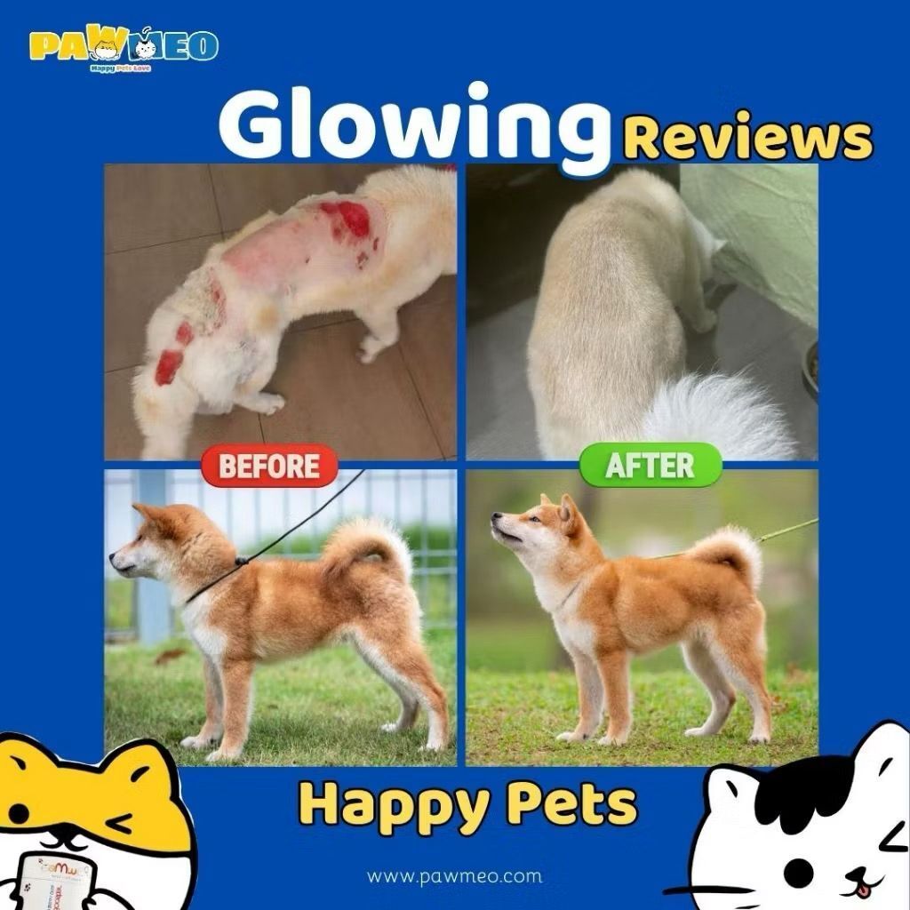 WhatsApp Image 2026-01-20 at 3.48.34 PM (3)