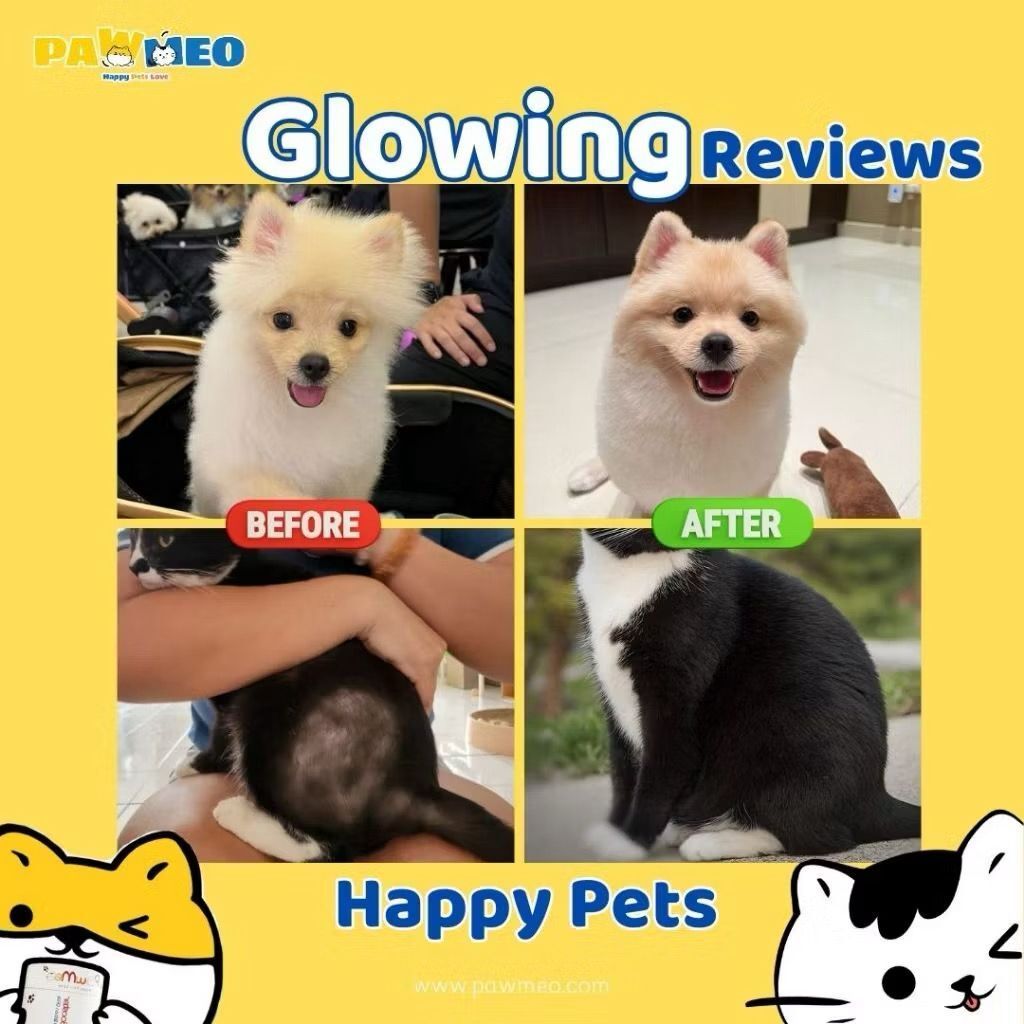 WhatsApp Image 2026-01-20 at 3.48.34 PM (2)