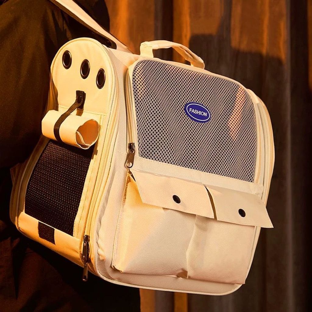 WhatsApp Image 2026-01-20 at 4.00.55 PM (2)