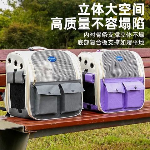 WhatsApp Image 2026-01-20 at 4.00.55 PM (1)