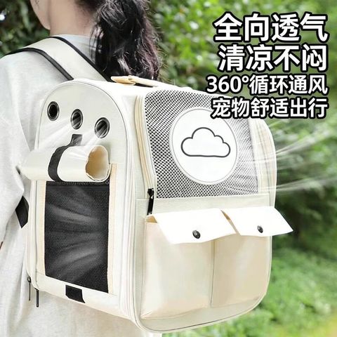 WhatsApp Image 2026-01-20 at 4.00.55 PM