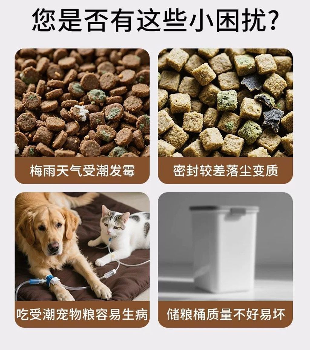 WhatsApp Image 2026-01-21 at 2.53.03 PM (3)