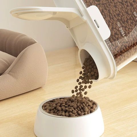 WhatsApp Image 2026-01-21 at 2.53.02 PM (2)