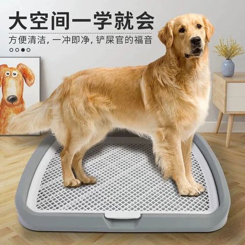 WhatsApp Image 2026-01-21 at 3.05.28 PM