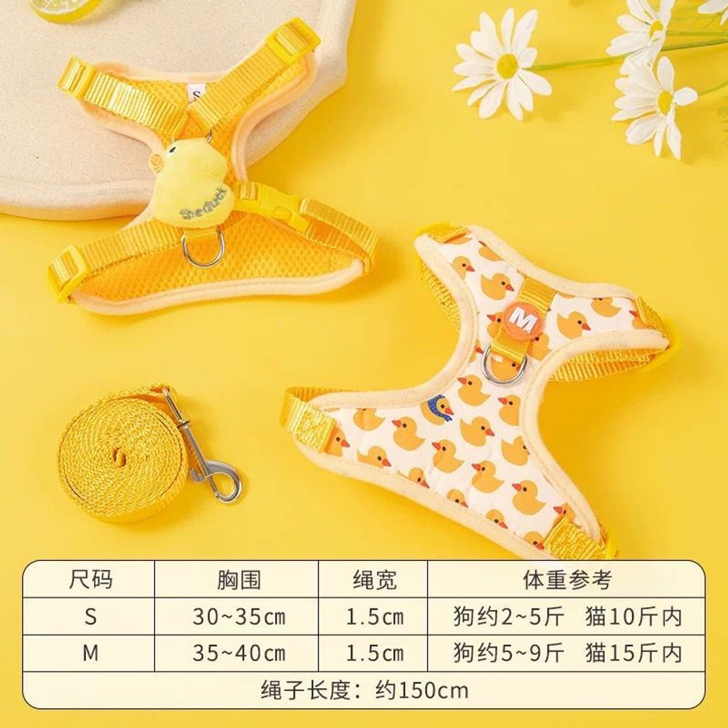 WhatsApp Image 2026-01-21 at 3.23.37 PM (2)