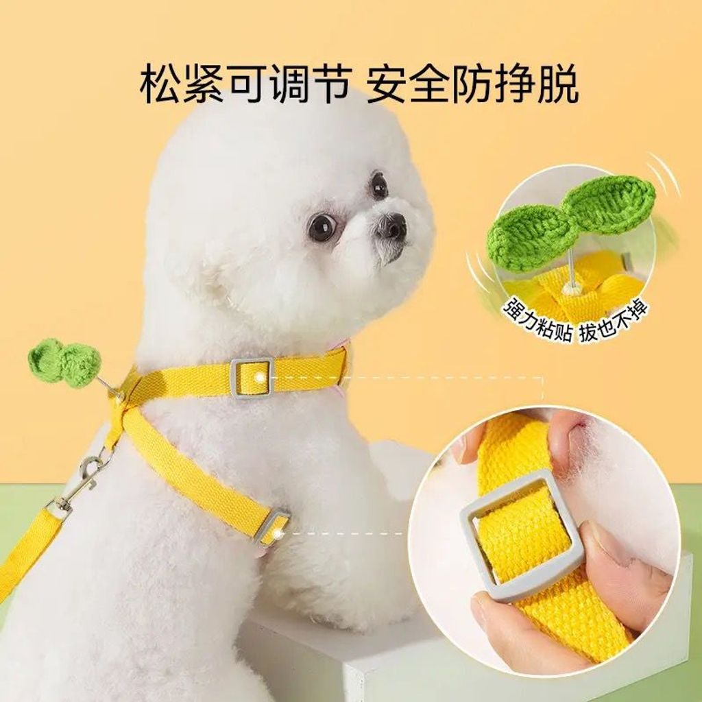 WhatsApp Image 2026-01-21 at 3.35.17 PM