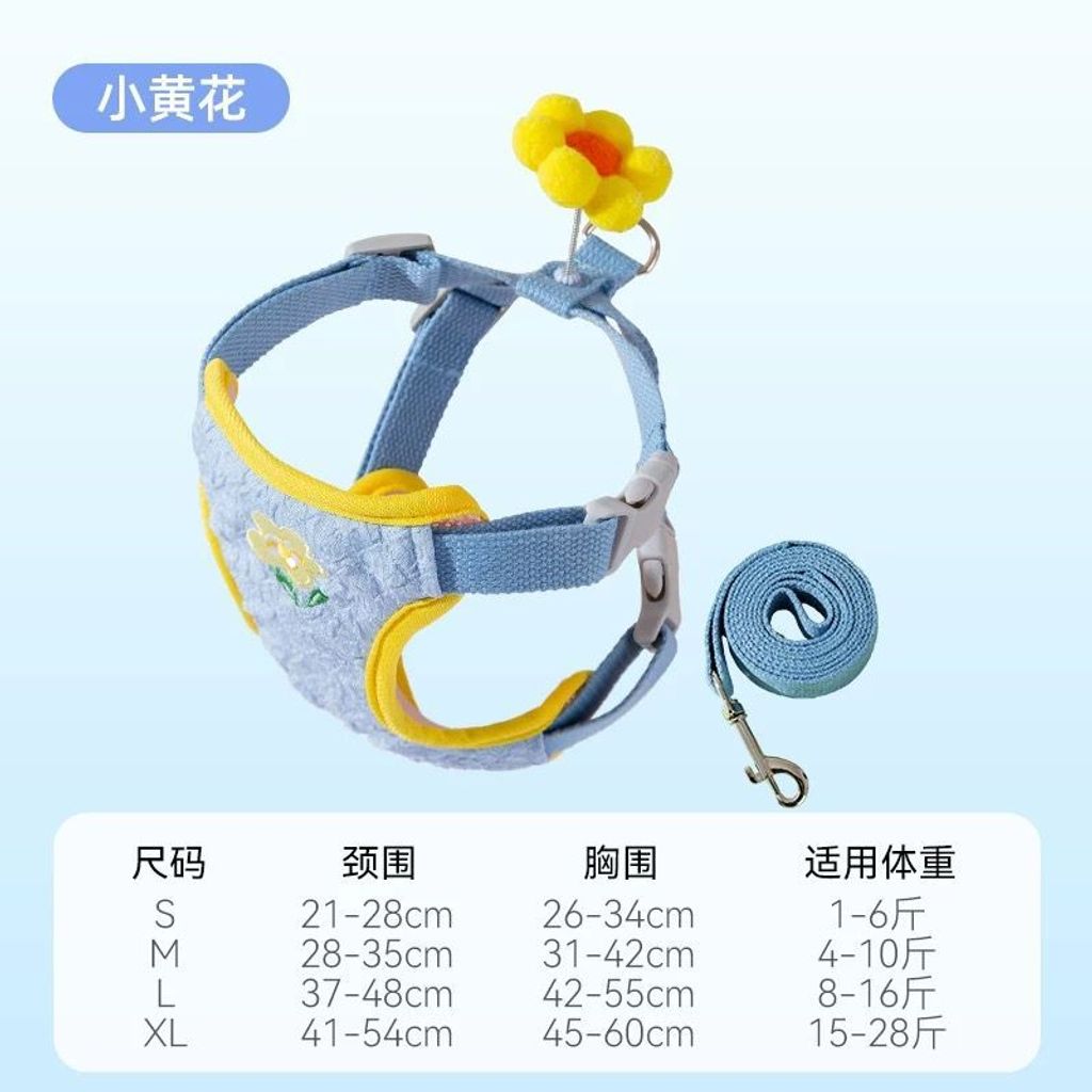 WhatsApp Image 2026-01-21 at 3.35.18 PM