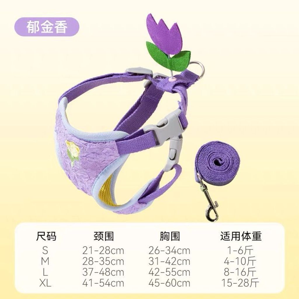 WhatsApp Image 2026-01-21 at 3.35.17 PM (2)