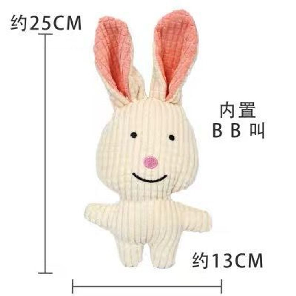 WhatsApp Image 2026-01-21 at 4.36.32 PM (2)